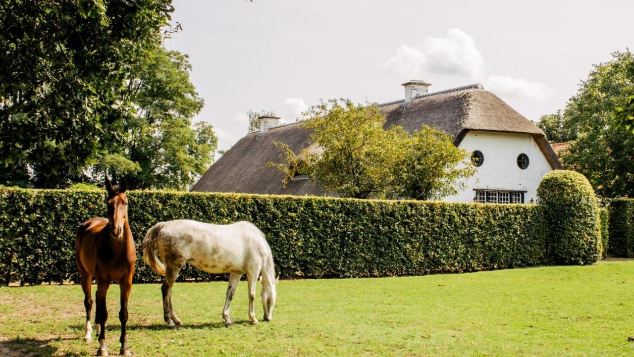 Truyenhof Bed & Breakfast Bree Exterior foto